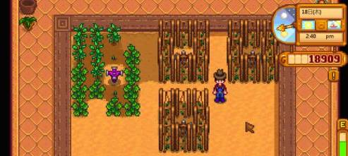 星露谷物语淡啤酒酿造方法(图1)