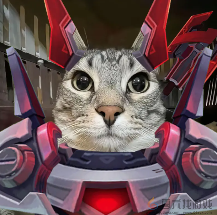 严肃猫表情包大全(图9) 严肃猫表情包大全(图9)