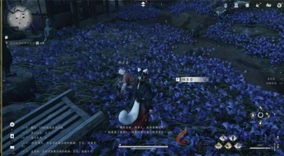 燕云十六声业火不熄任务完成攻略(图2)